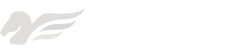 Logo Blue Spirit Hosting